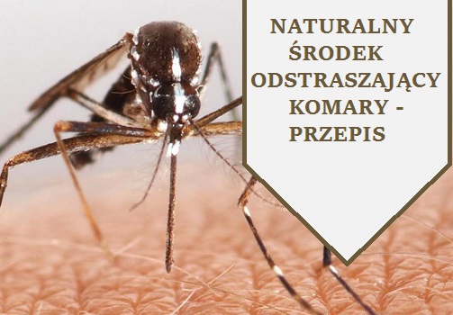 naturalny_środek_przeciw_komarom_i_kleszczom_przepis