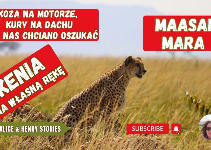 Kenia, Maasai Mara . Koza na motorze, kury na dachu i jak nas chciano oszukać. Kenya travel
