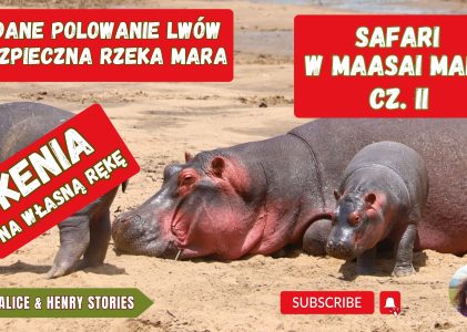 Safari w Maasai Mara II, rzeka Mara, nieudane polowanie lwów, życie Masajów Kenia. na własną rękę