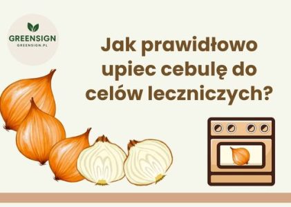 Jak prawidłowo upiec cebulę do celów leczniczych?