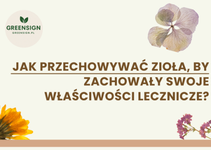 Jak przechowywać zioła, by zachowały swoje właściwości lecznicze?