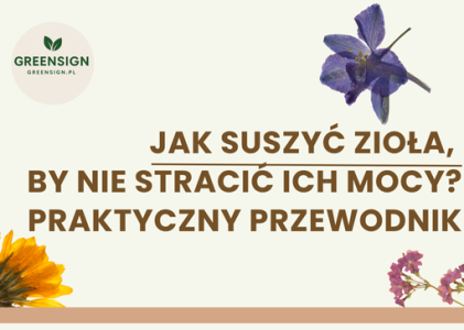 Jak suszyć zioła, by nie stracić ich mocy? Praktyczny przewodnik