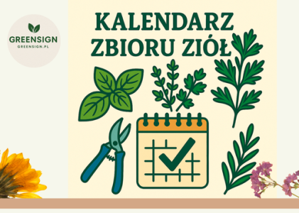 Kalendarz zbioru ziół – miesiąc po miesiącu