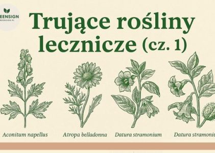 Trujące piękno natury – rośliny i grzyby, które wymagają szczególnej ostrożności