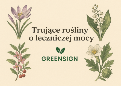 Trujące piękno natury – rośliny i grzyby, które wymagają szczególnej ostrożności, cz. 2