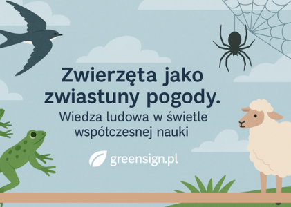 Zwierzęta jako zwiastuny pogody. Wiedza ludowa w świetle współczesnej nauki